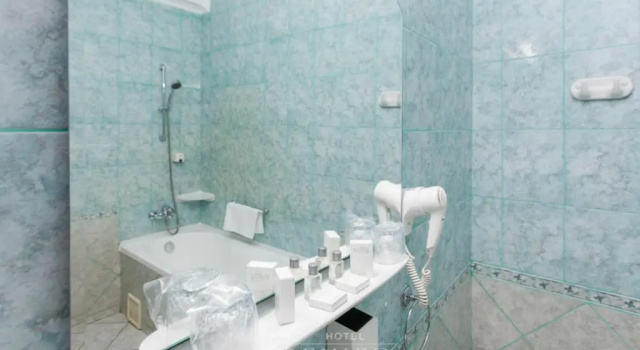 Одноместный номер Standard Hotel Premier
