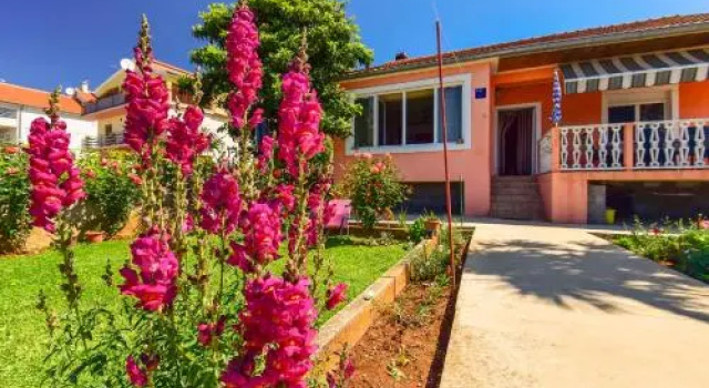 Holiday House Anica 1313