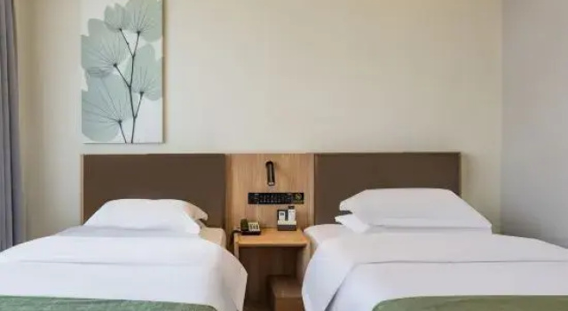 Люкс Deluxe Green Tree Inn(pingshandian)
