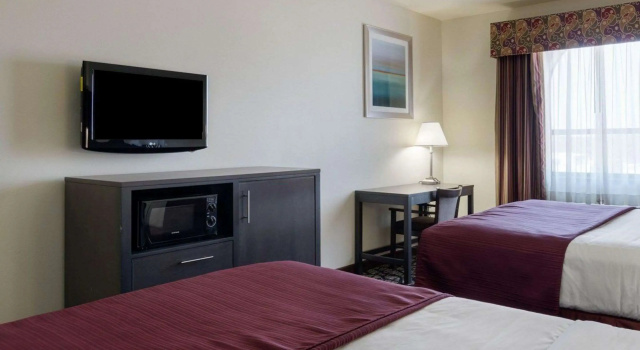 Standard Vierer Zimmer Quality Inn Buffalo