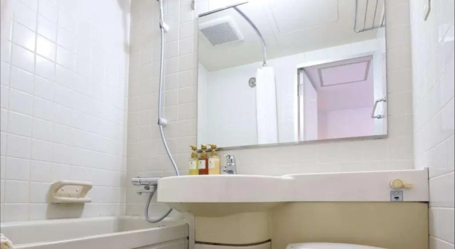 Двухместный номер Standard HOTEL MYSTAYS Tachikawa