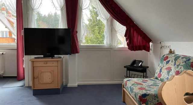 Апартаменты с балконом Sunside Ferien Wellness Oase Hotel Apartment's Schwarzwald am Schluchsee