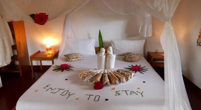 Номер Standard Meru View Lodge