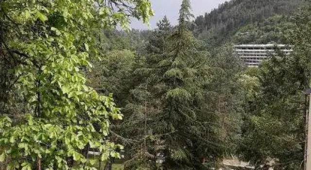Gogiascixe 11
