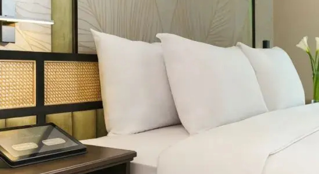 Luksusowy dwuosobowy pokój Tavia Heritage Hotel