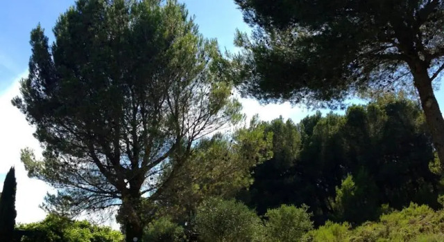 Mas Magali, Rezervasyon Daire Paradou Alpilles