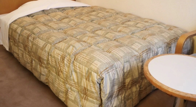 Одноместный номер Standard Tetoranze Makuhari Inagekaigan Hotel