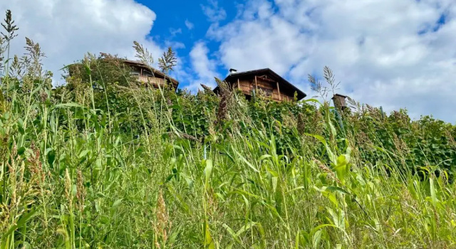 Maso Fallmerayer - Fallmerayerhof, Забронировать Отель Брессаноне Valle Isarco