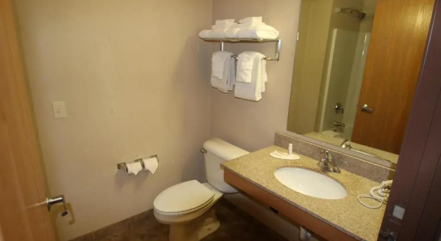 Номер Business Darlington Inn