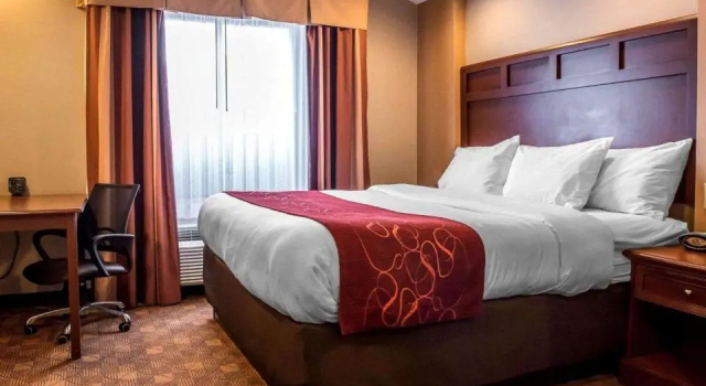 Люкс Standard Comfort Suites Monaca