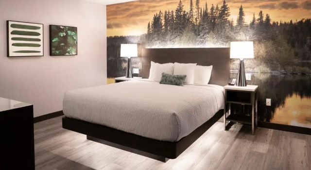 Люкс Cambria Hotel Shelby Township - Detroit Utica