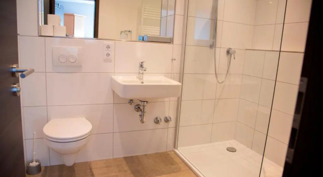 Одноместный номер Comfort Hotel Zum Goldenen Stern