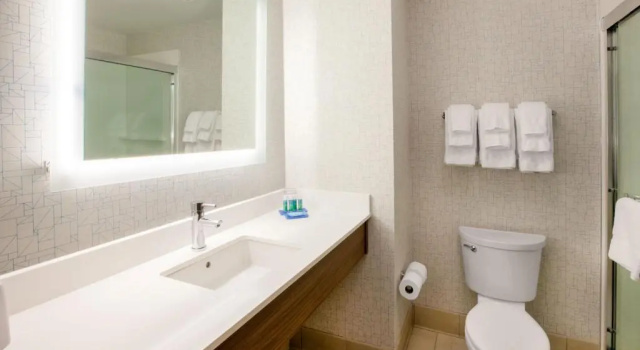 Run of House Holiday Inn Express & Suites Del Rio by IHG