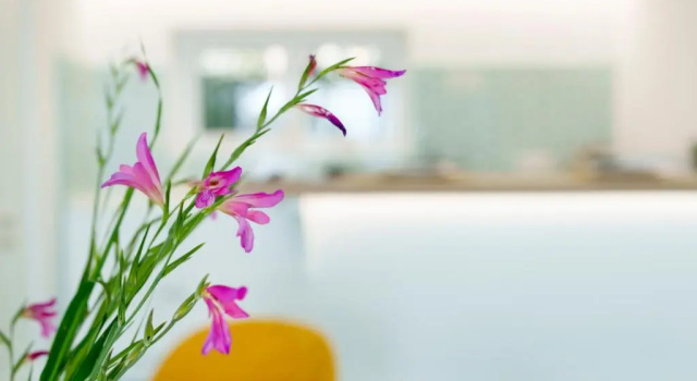 Апартаменты Incanto apartament stunning sea view