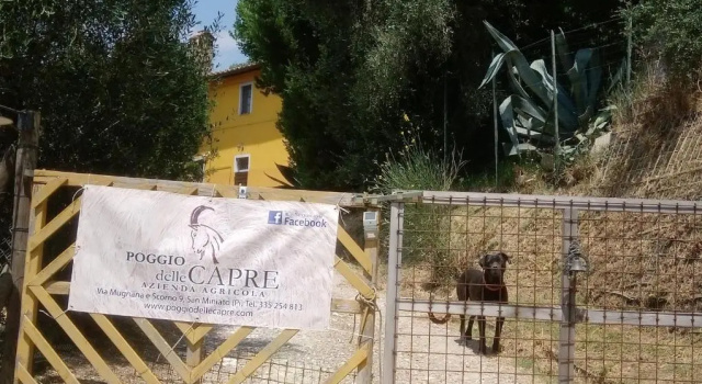 Двухместный номер Standard Poggio delle Capre