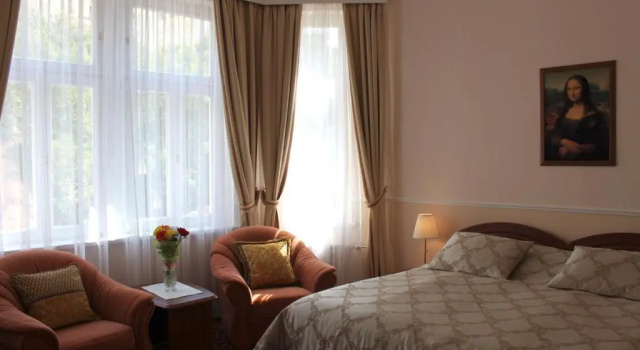 Двухместный номер Standard Spa Hotel Purkyně