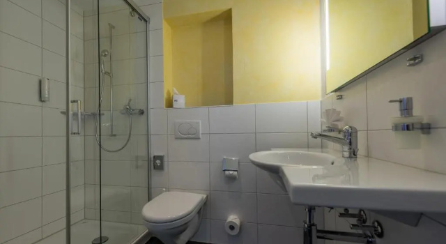Одноместный номер Standard с видом на озеро Parkhotel Gunten – Beach & Spa
