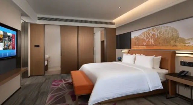 Двухместный люкс Business Отель Hampton by Hilton Beijing Guomao CBD