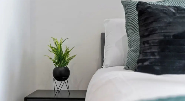 City Centre Luxury ApartmentSofa BedWIFI, Забронировать Апартаменты/квартира Лестер Лестершир, рядом с Насосная станция аббатства