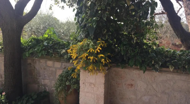 Вилла Il Trullo di Nonno Angelo San Marco
