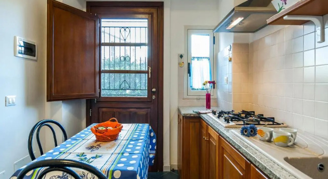 Студия Vespucci 3