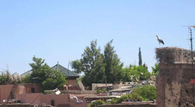 Riad Amin, Забронировать Отель Отели Kasbah 3 звезды, 3*