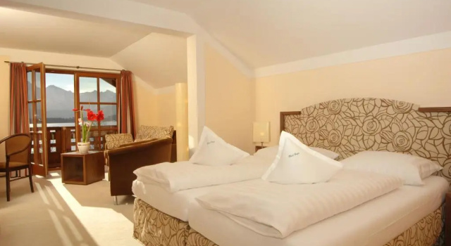 Номер Standard Hotel Geiger