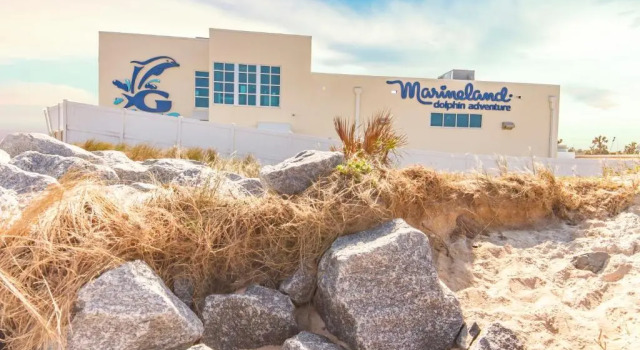 Beacher's Lodge Oceanfront Suites, Rezervasyon Daire Crescent Beach Saint Augustine Area