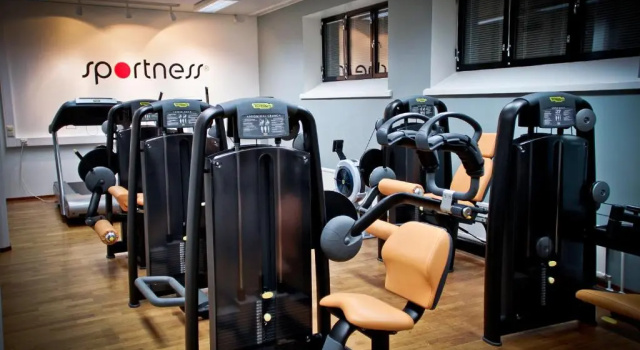 Двухместный номер Standard Vanajanlinna Resort