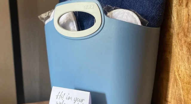 Номер Standard Hotel Paradiso Como