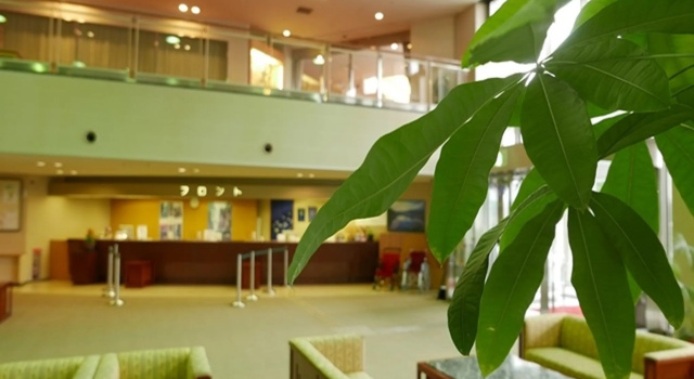 KAMENOI HOTEL Ichinoseki, Забронировать Отель Итиносеки префектура Ивате