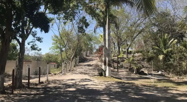 Cabañas y Comedor Don Deme, Rezervasyon Otel Calakmul Biosphere Reserve Meksika