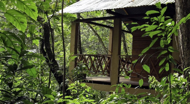 Номер Standard с видом на реку Campamento Rio Lacanja