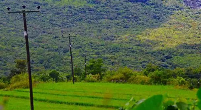 Riverston Hideaway, 予約 ホテル Polommana 