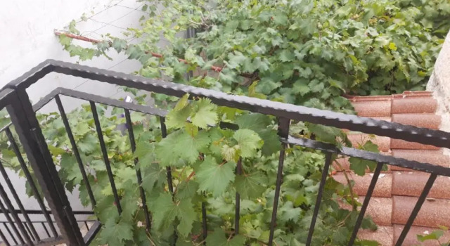 Melon-1, Murter, House for rest, 예약 호텔 Murter 