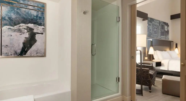 Двухместный номер Premium Hilton Garden Inn Cupertino
