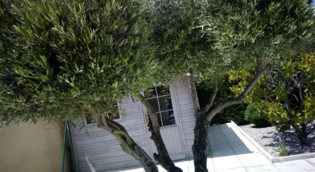 Villa Manet Portiragnes, Rezerwuj Willa Portiragnes Canal du Midi