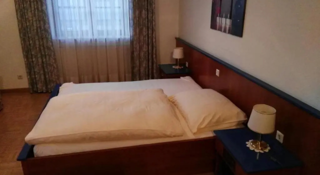 Двухместный номер Standard Hotel Seltenriegel