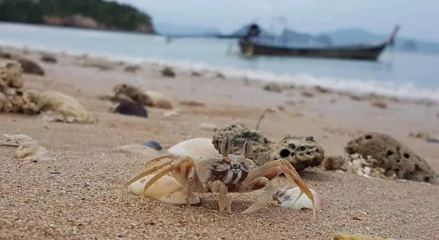 Leam Sai Bungalows Koh Yao Noi, Забронировать Отель Отели Пхангнга с парковкой, Парковка