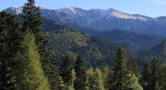 Rewita Kościelisko-Zakopane, Забронировать Отель Косцелиско Высокие Татры