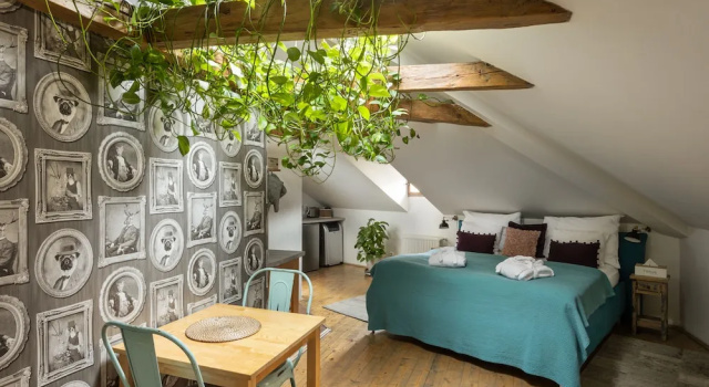 Люкс Old Town Boho Chic Attic