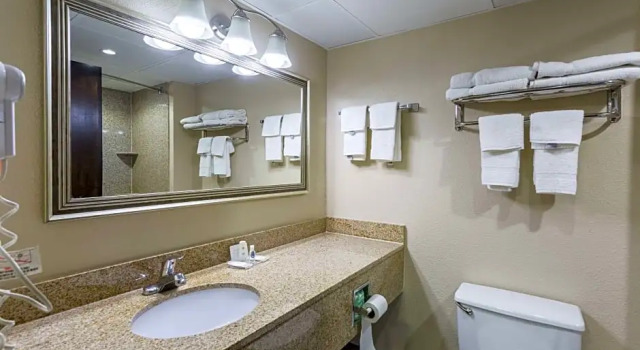 Четырёхместный люкс Comfort Inn Decatur Priceville