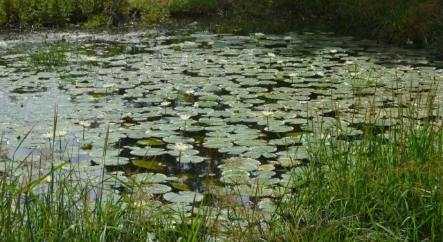 Ruins Villa, 予約 ヴィラ ポロンナルワ Polonnaruwa District
