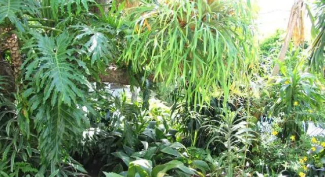 Oakhampton Bed and Breakfast, Book Hotel East London Eastern Cape