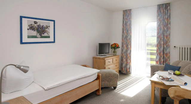 Одноместный номер Standard Hotel Bad Griepshop