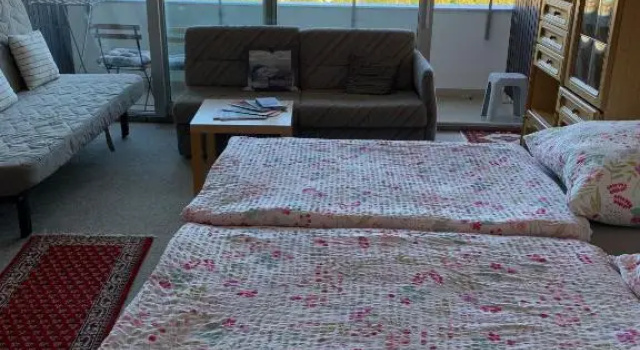 Апартаменты Deluxe Reichenbach Apartment