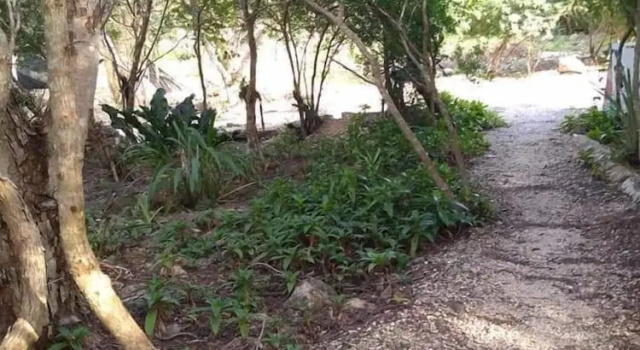 Cabañas Santa Cruz, Prenota Hotel Homún Yucatán
