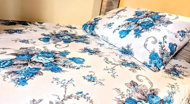 Вилла Economy Trippoo Villa & Hostel