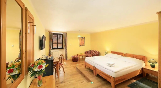 Номер Standard Hotel Zlaty Andel