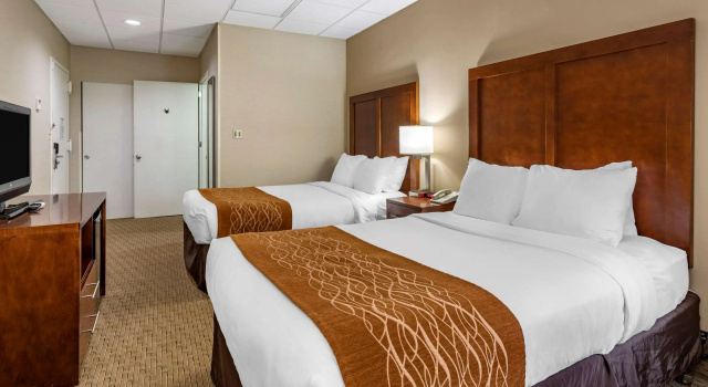 Четырёхместный номер Standard Comfort Inn Syosset-Long Island